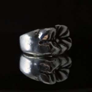 Anillo molar