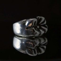 Anillo molar
