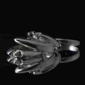 Anillo Kakute nº1