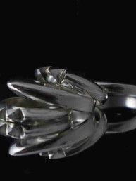 Anillo Kakute nº1