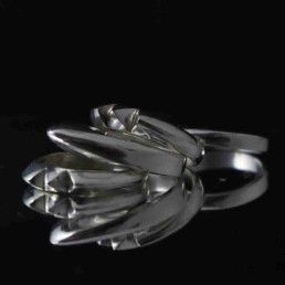 Anillo Kakute nº1
