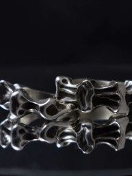 Anillo vertebra