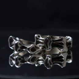 Anillo vertebra
