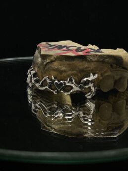 Rasenk grillz