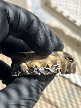 Rasenk grillz