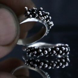 Anillo Tricom