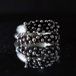 Anillo Tricom