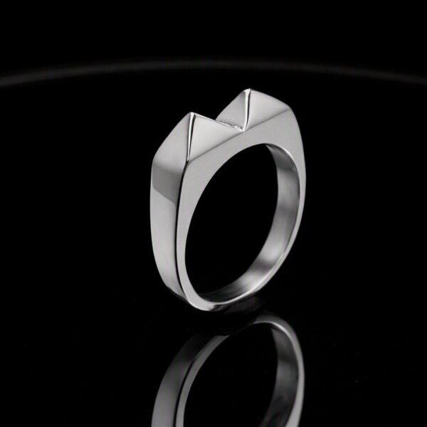 Anillo Kakute Pikas 2