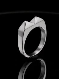 Anillo Kakute Pikas 2