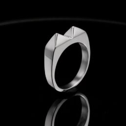 Anillo Kakute Pikas 2